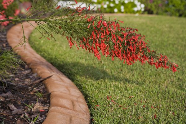 Brick Edging in Federal Way